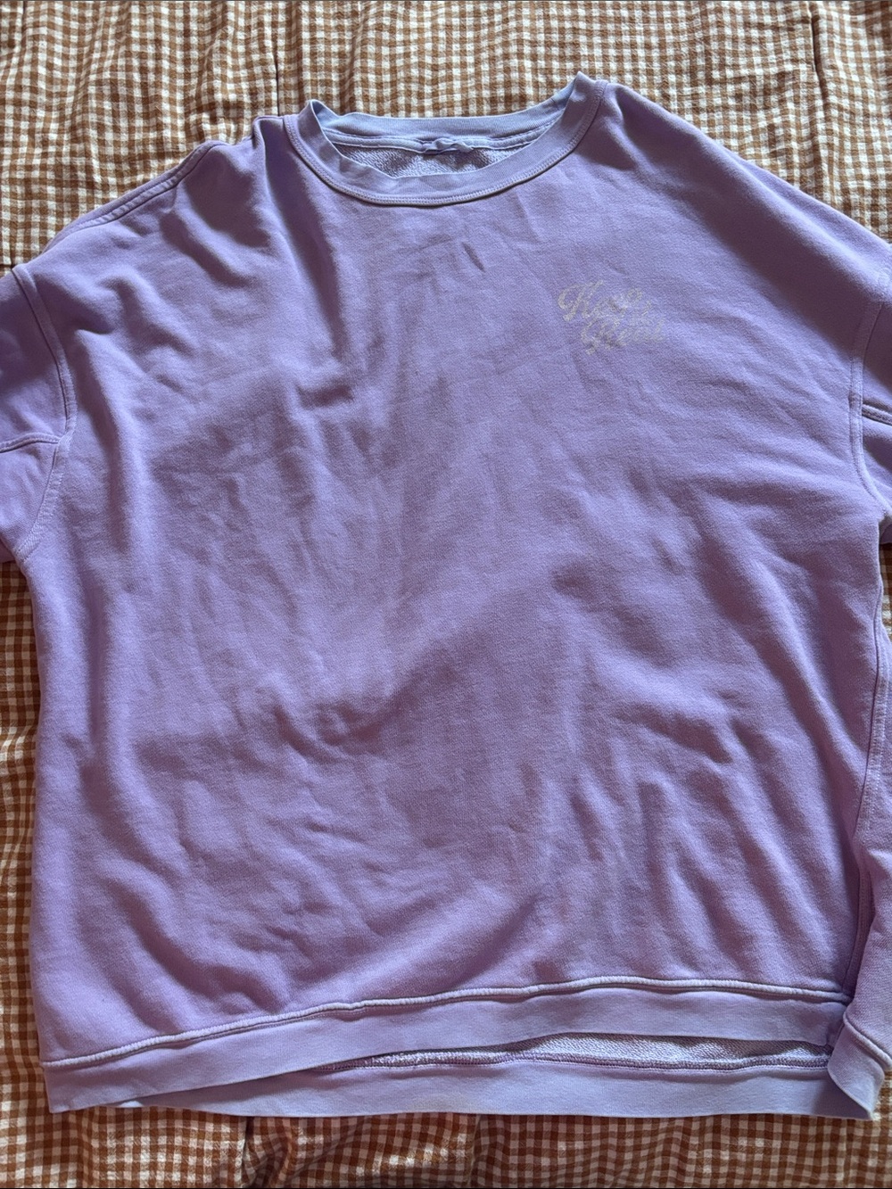 aerie Lavender Crewneck Sweatshirt